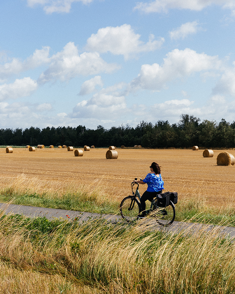 Balade à vélo Loir et Vergers - La Flèche - Vallée du Loir