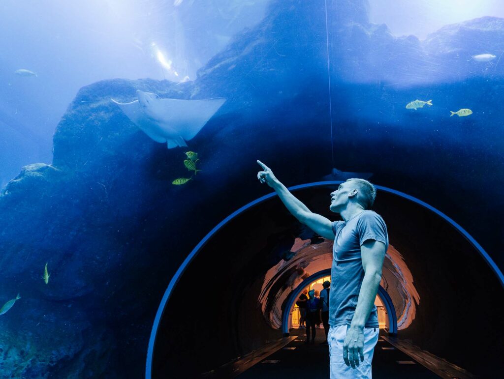 Aquarium de Dubaï