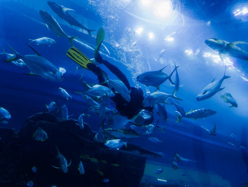 Aquarium de Dubaï