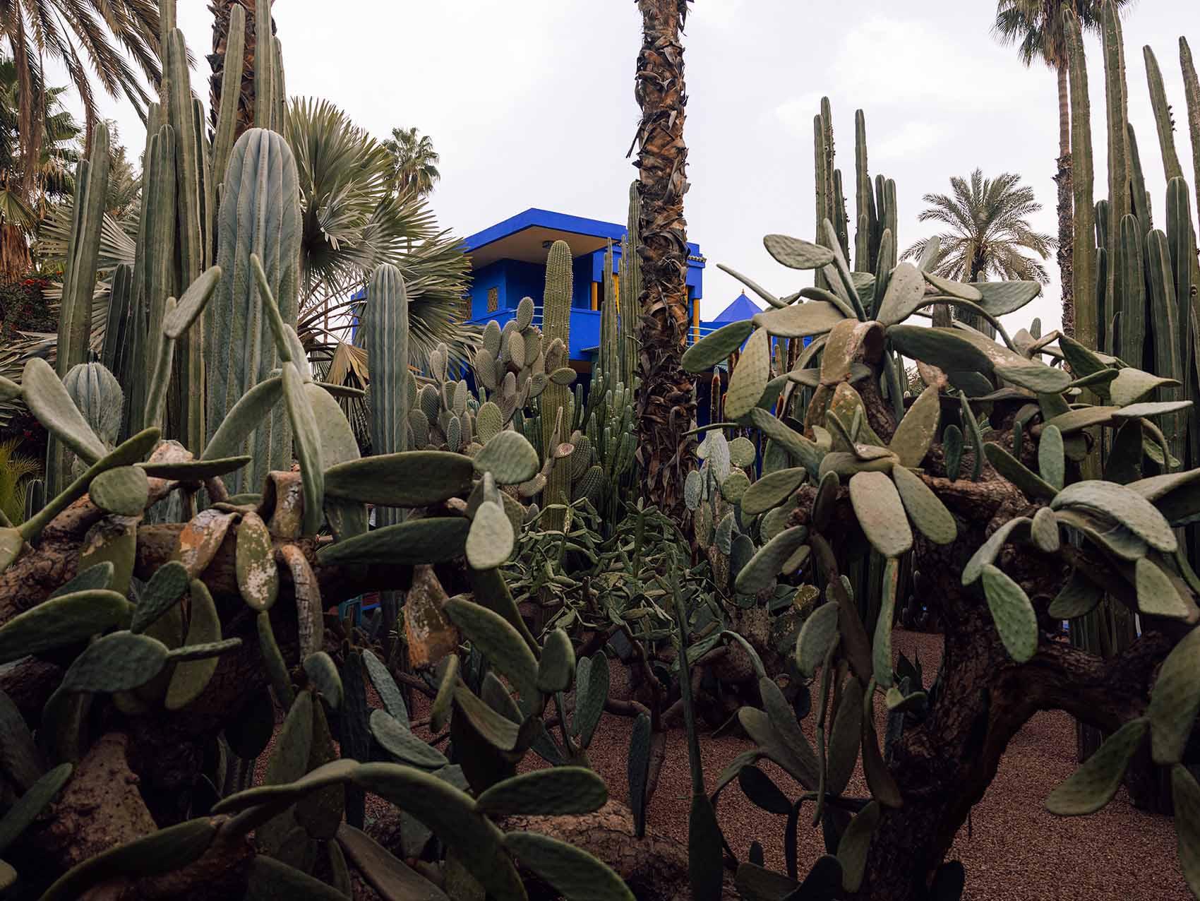 Jardin Majorelle de Marrakech