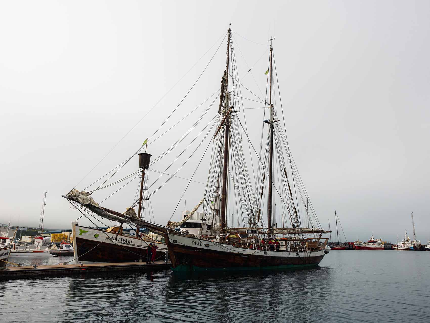 Excursion en bateau pour voir les baleines à Húsavík, au nord de l'Islande