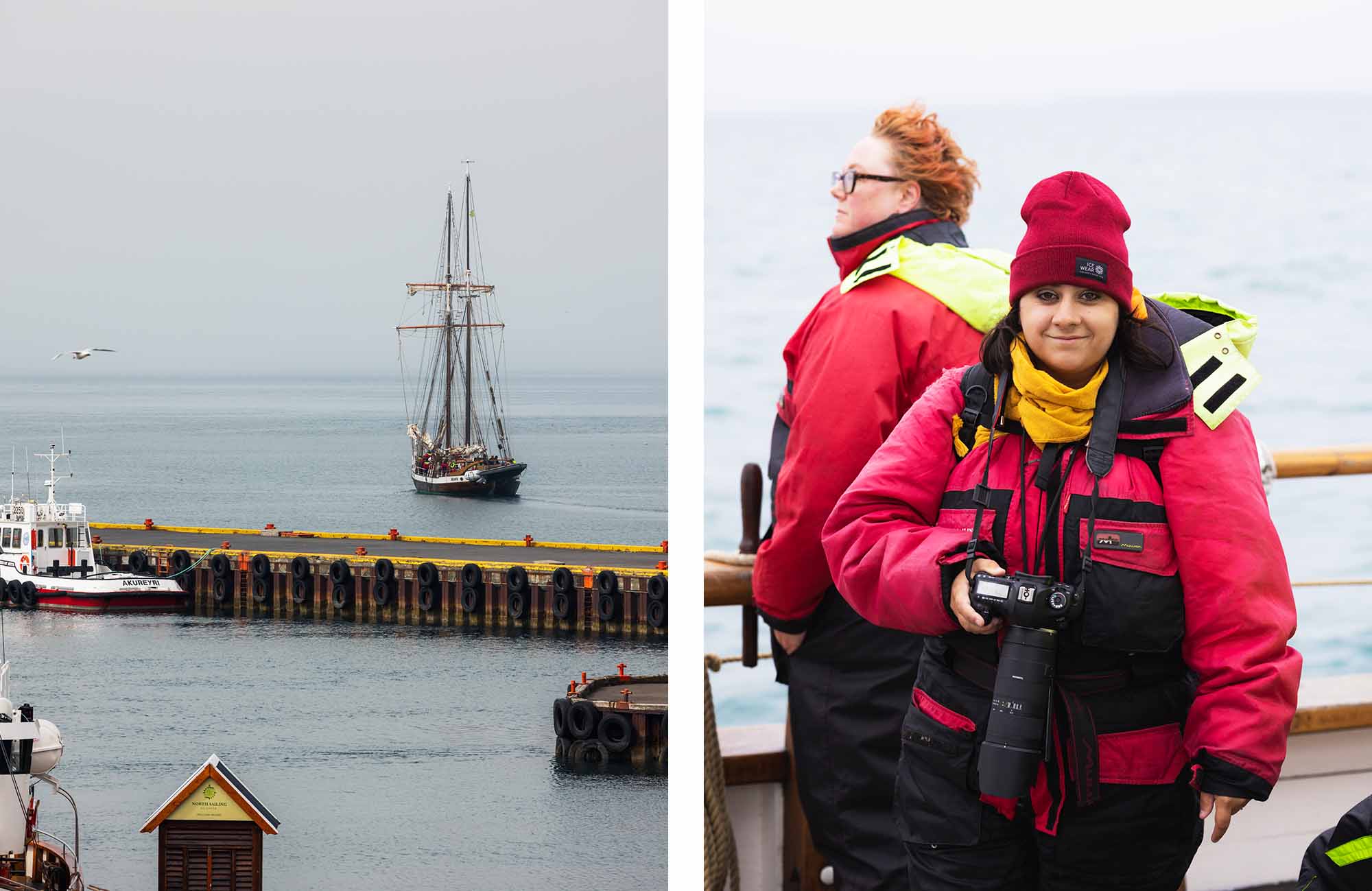 Excursion en bateau pour voir les baleines à Húsavík, au nord de l'Islande