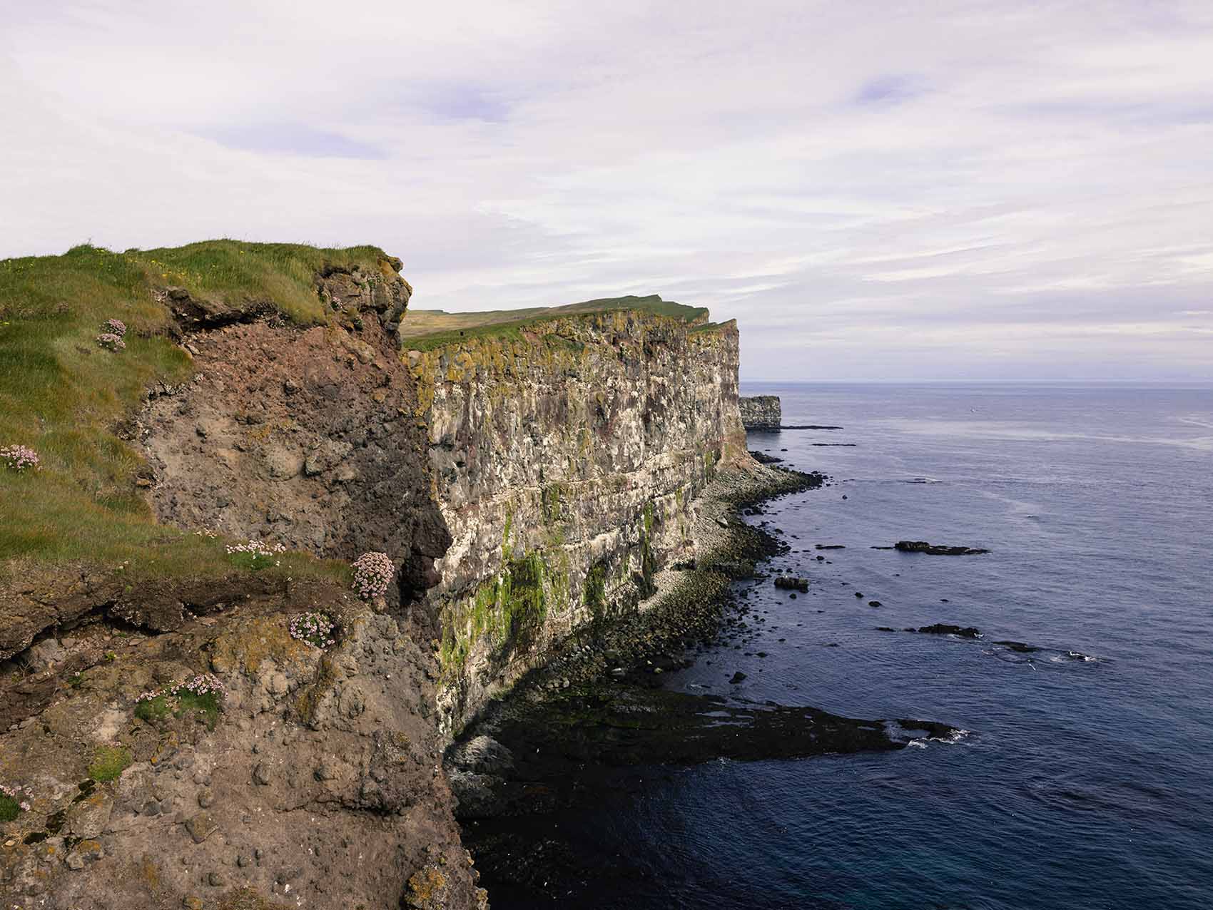 Falaises de Latrabjarg en Islande