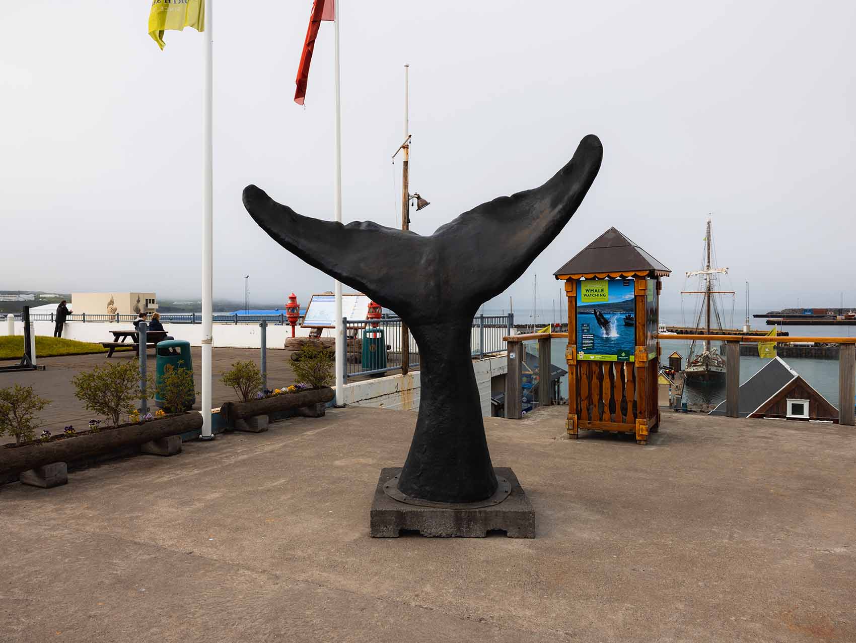 Excursion en bateau pour voir les baleines à Húsavík, au nord de l'Islande