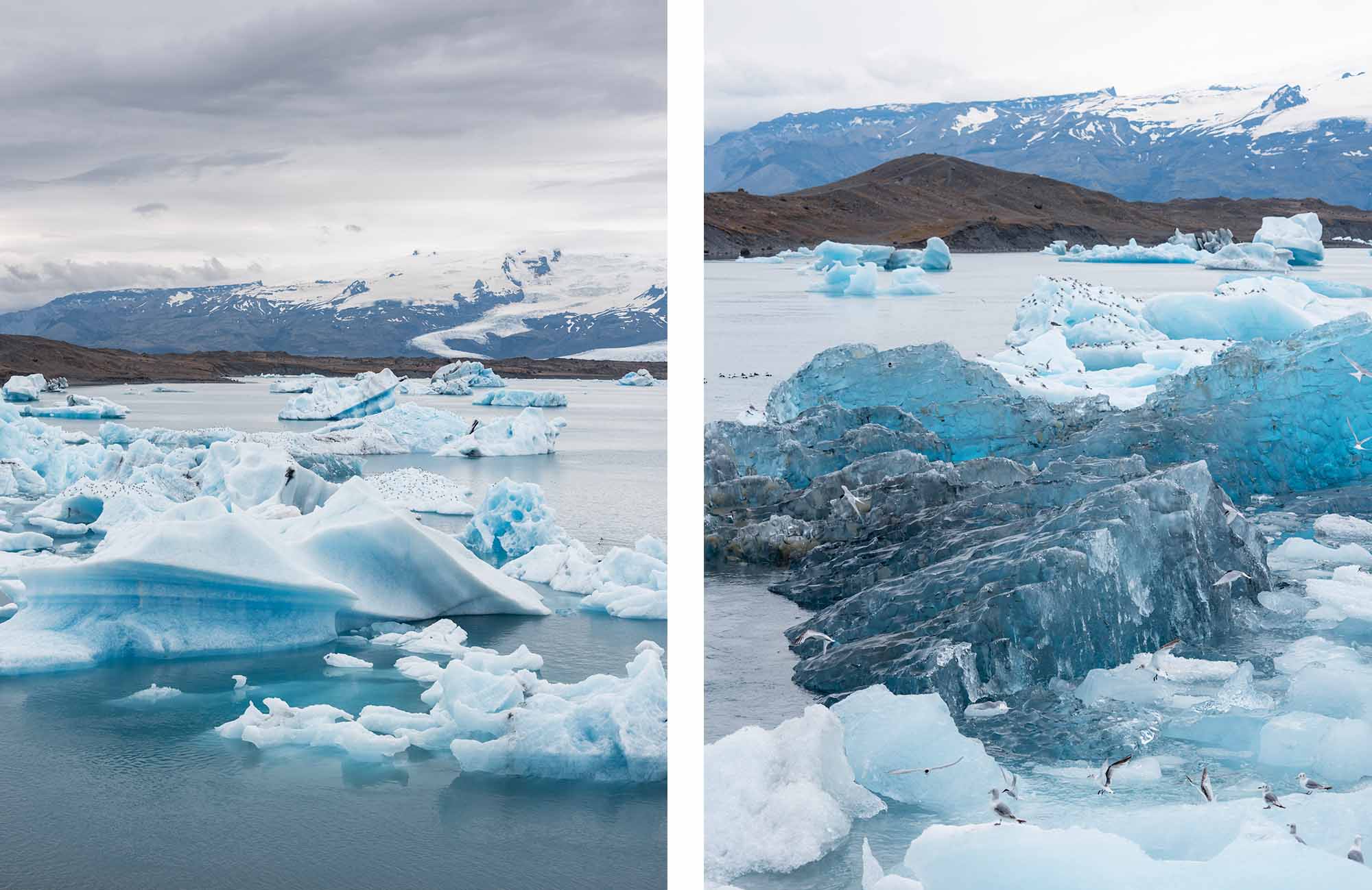 Côte Est de l'Islande : la lagune glaciaire de Jökulsarlón