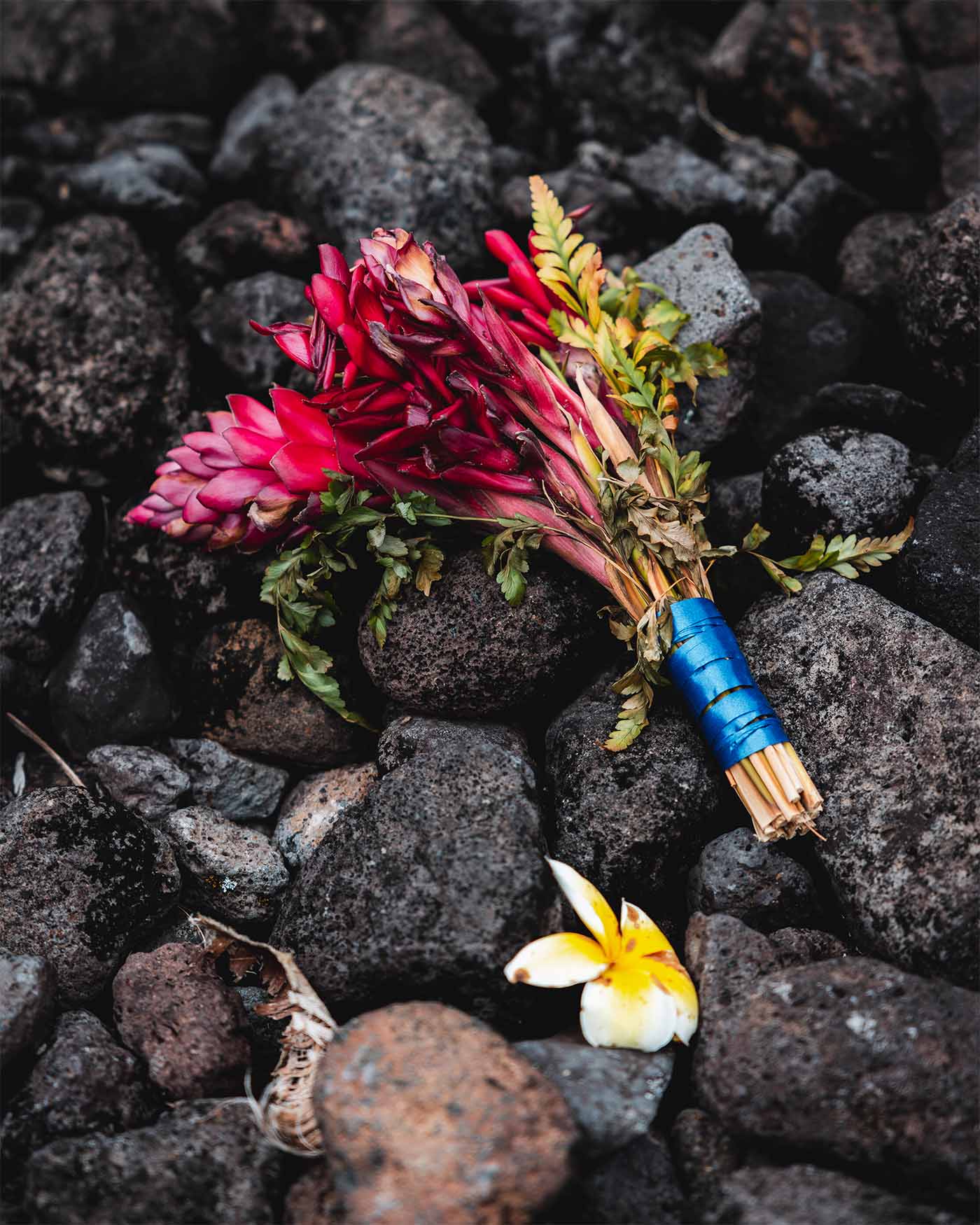 Marae Arahurahu à Tahiti