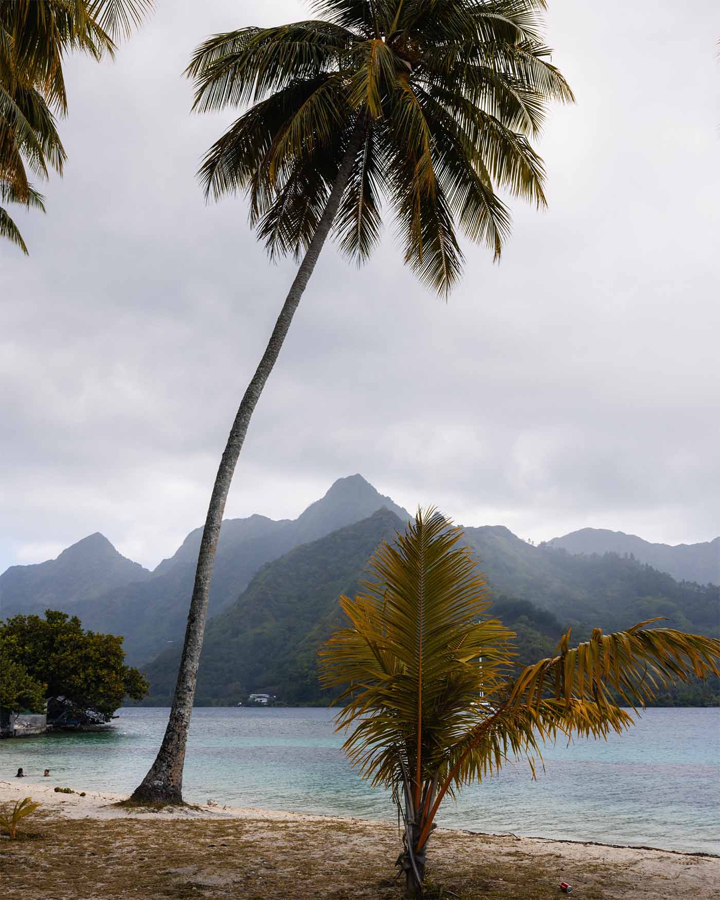 Plage de Ta’ahiamanu à Moorea