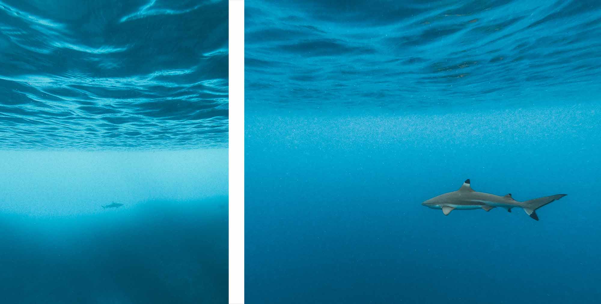 Snorkeling à Tetiaroa