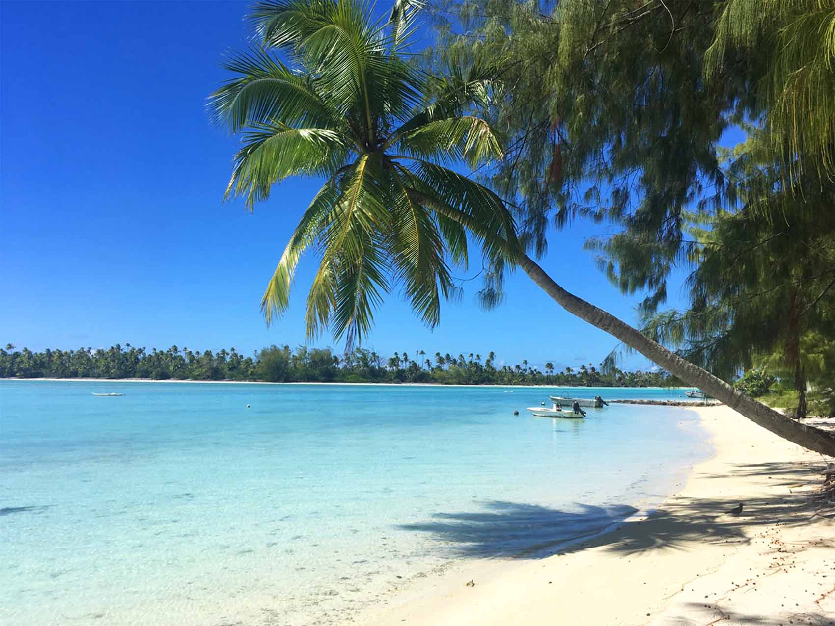 Plage à Tetiaroa