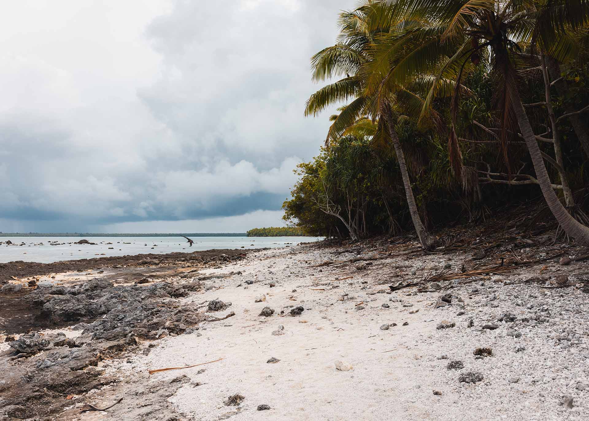 Plage à Tetiaroa