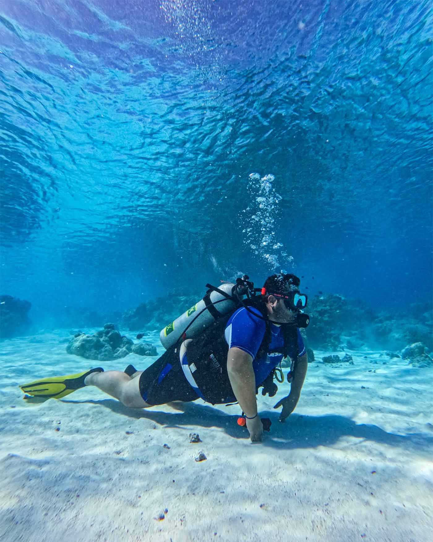 Top Dive Rangiroa