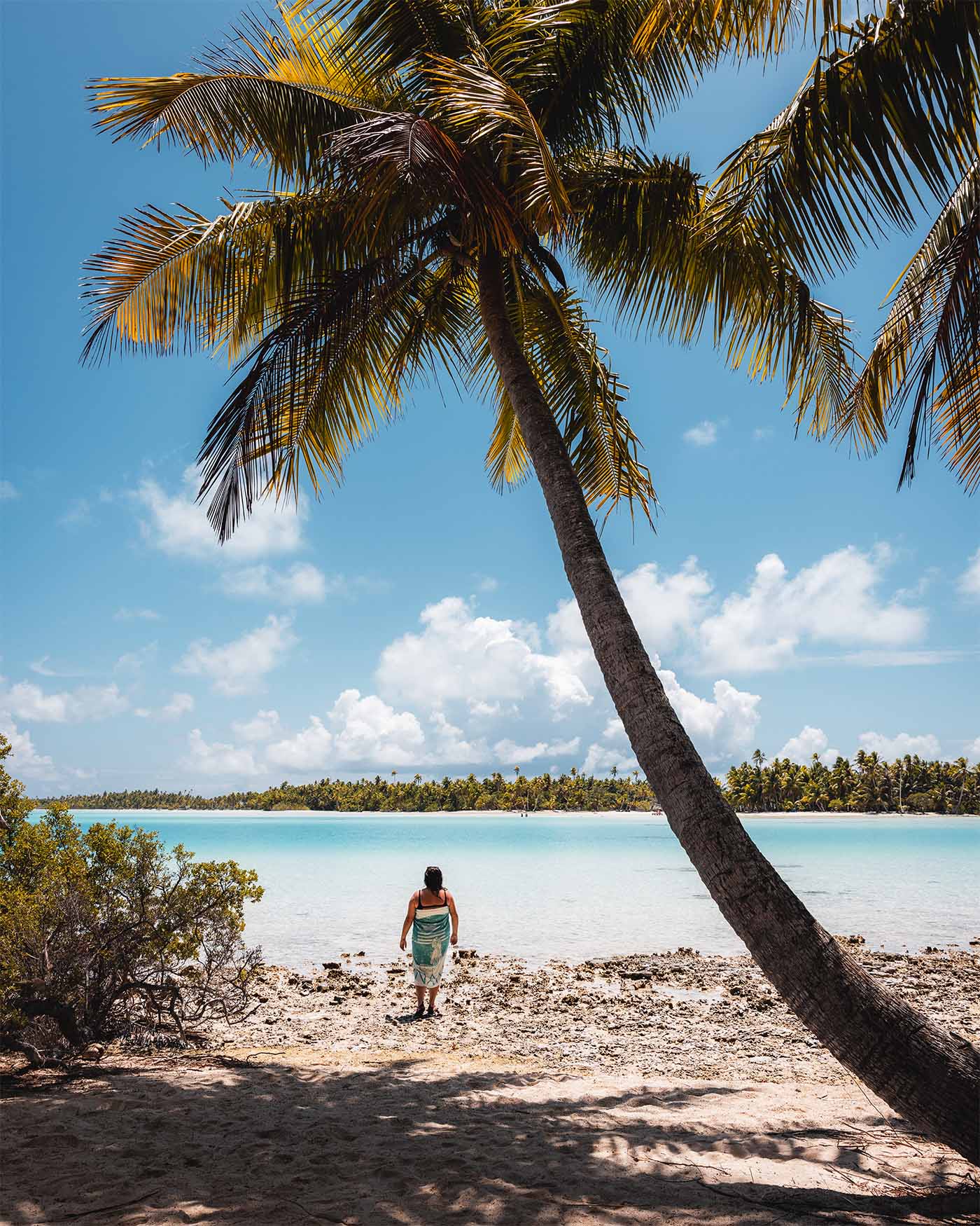 Plage à Rangiroa