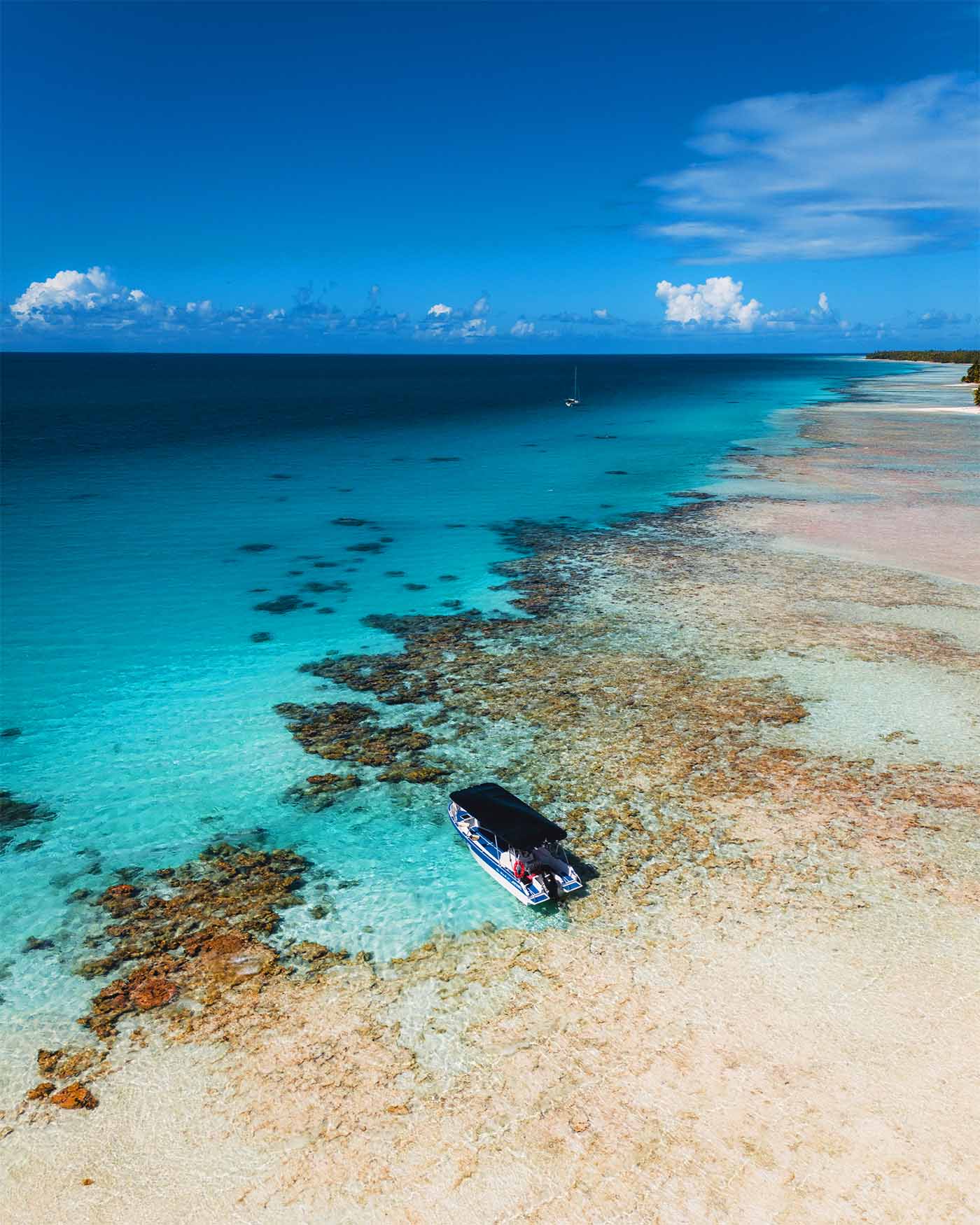 Île aux Récifs à Rangiroa