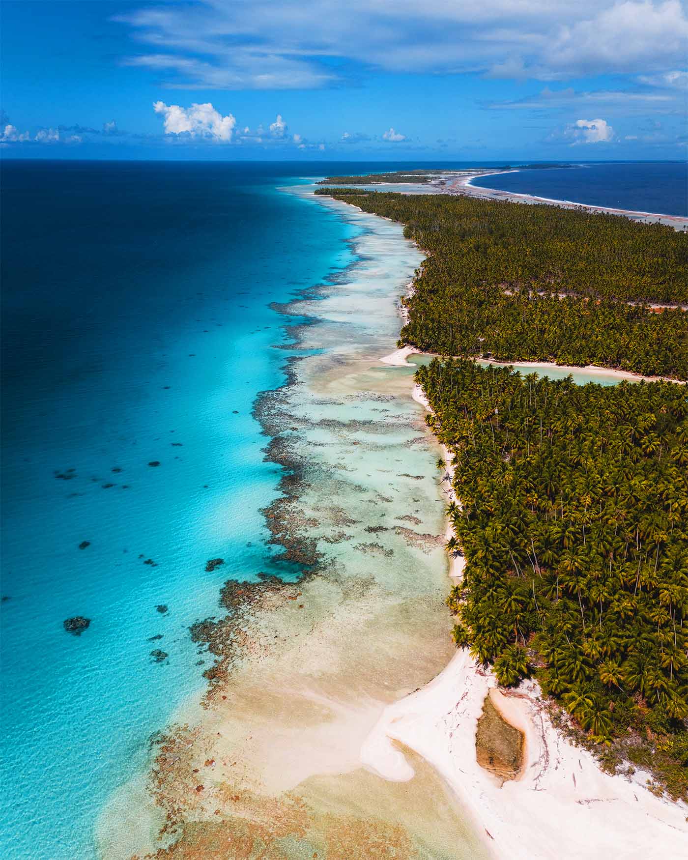 Île aux Récifs à Rangiroa