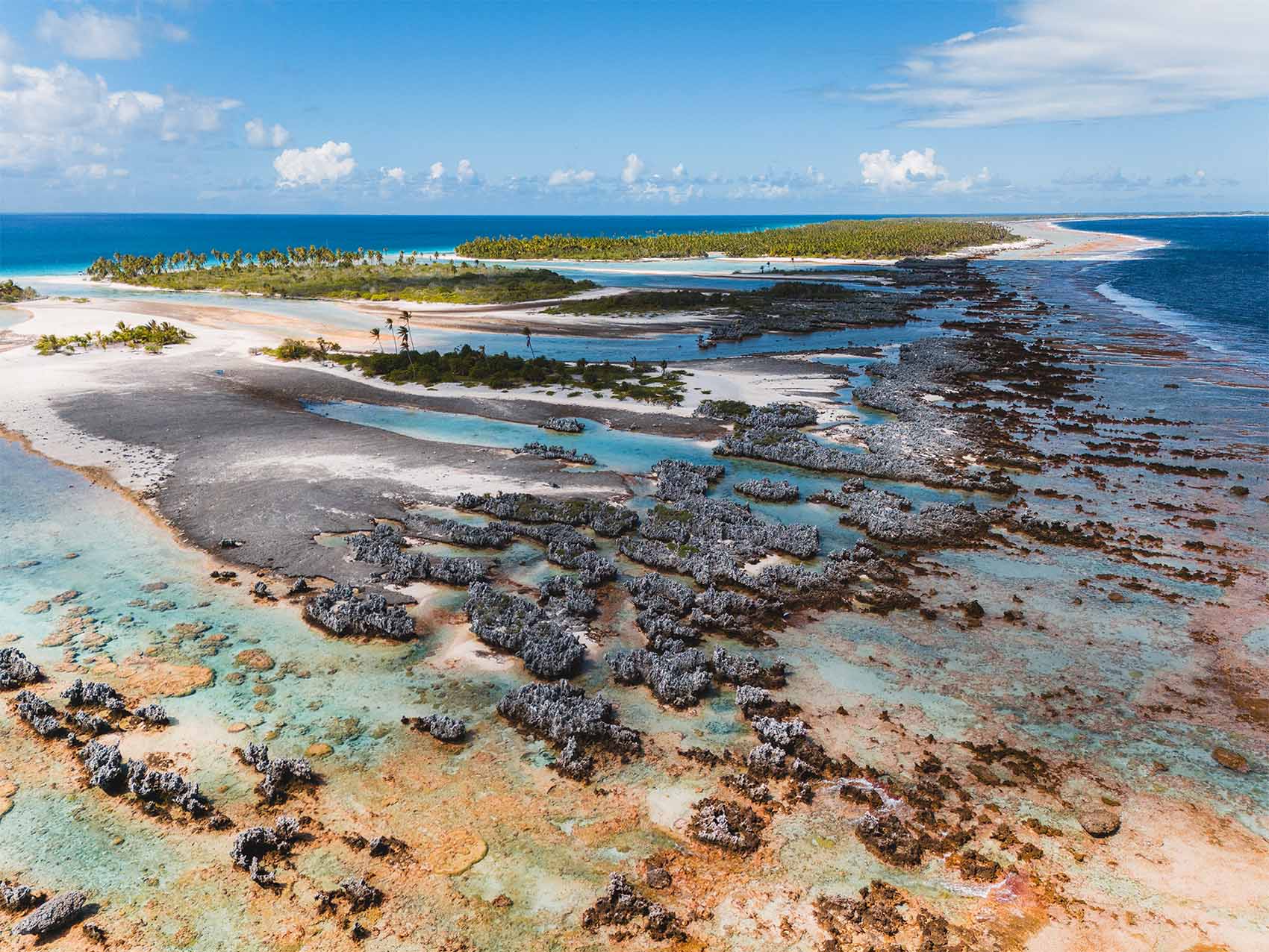 Excursion à la découverte de l'île aux récifs