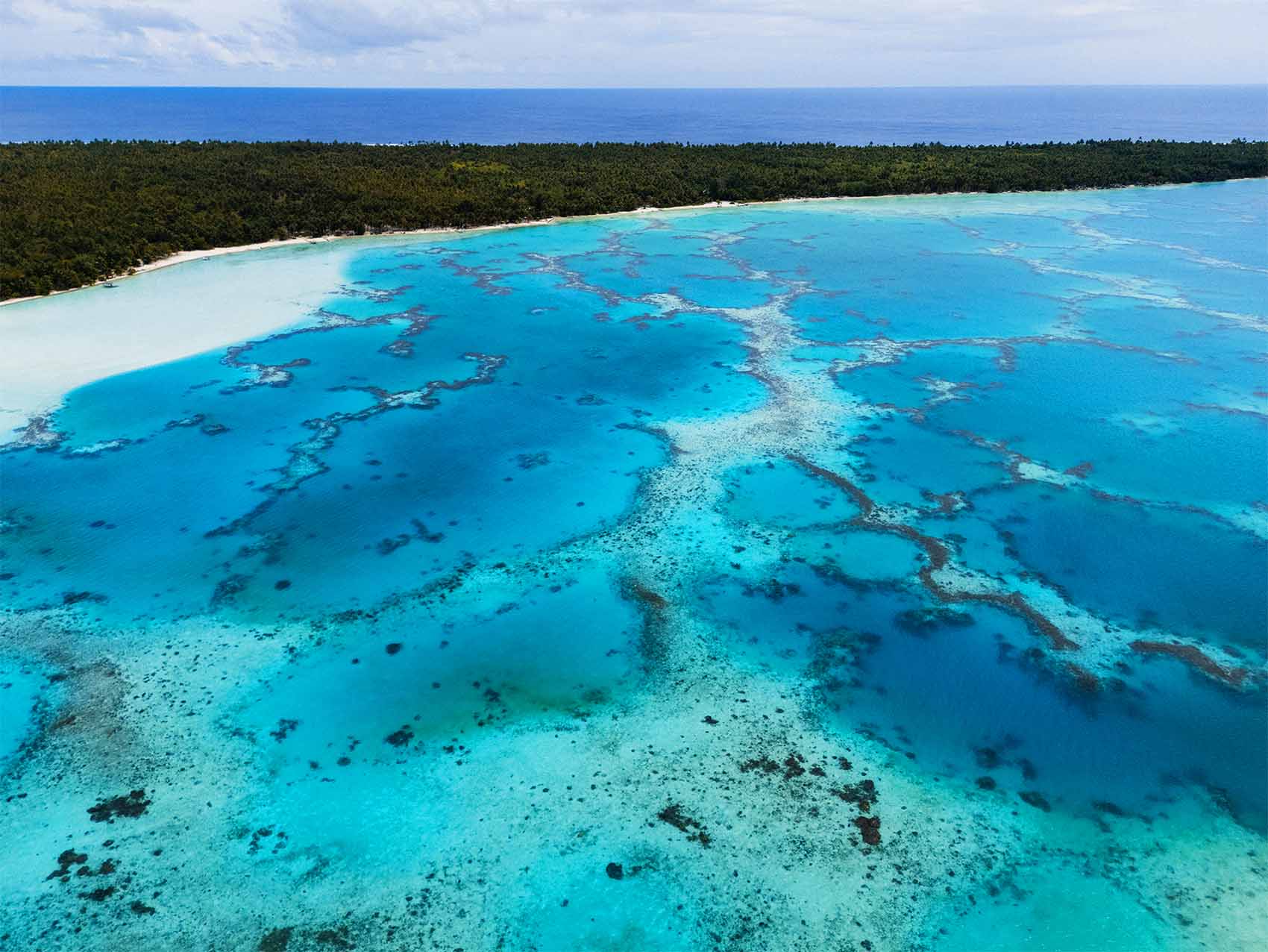 Corail à Maupiti