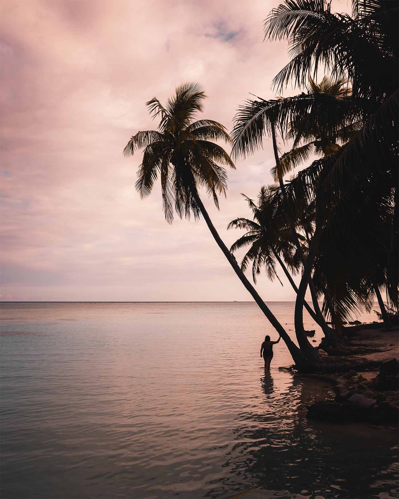 Lagon vert de Rangiroa