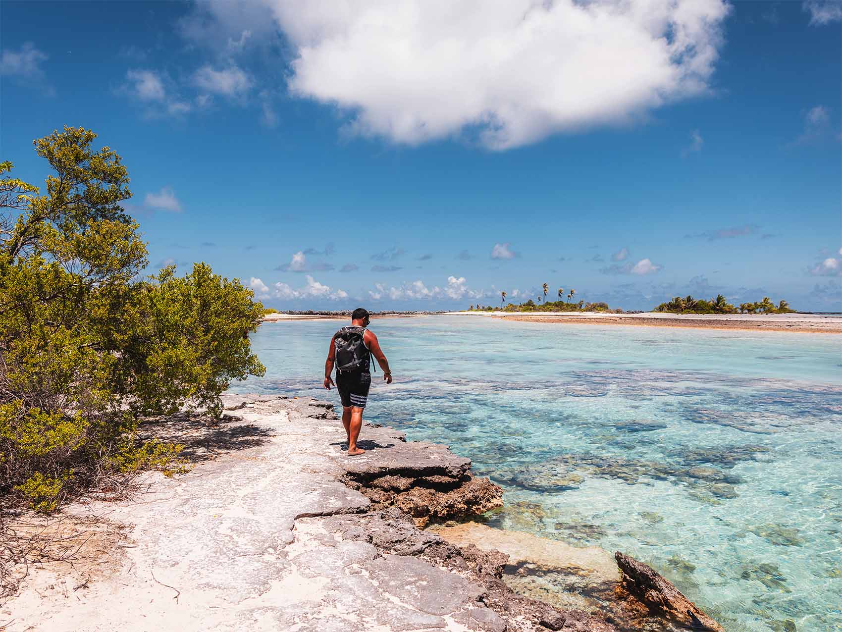 Excursion à la découverte de l'île aux récifs