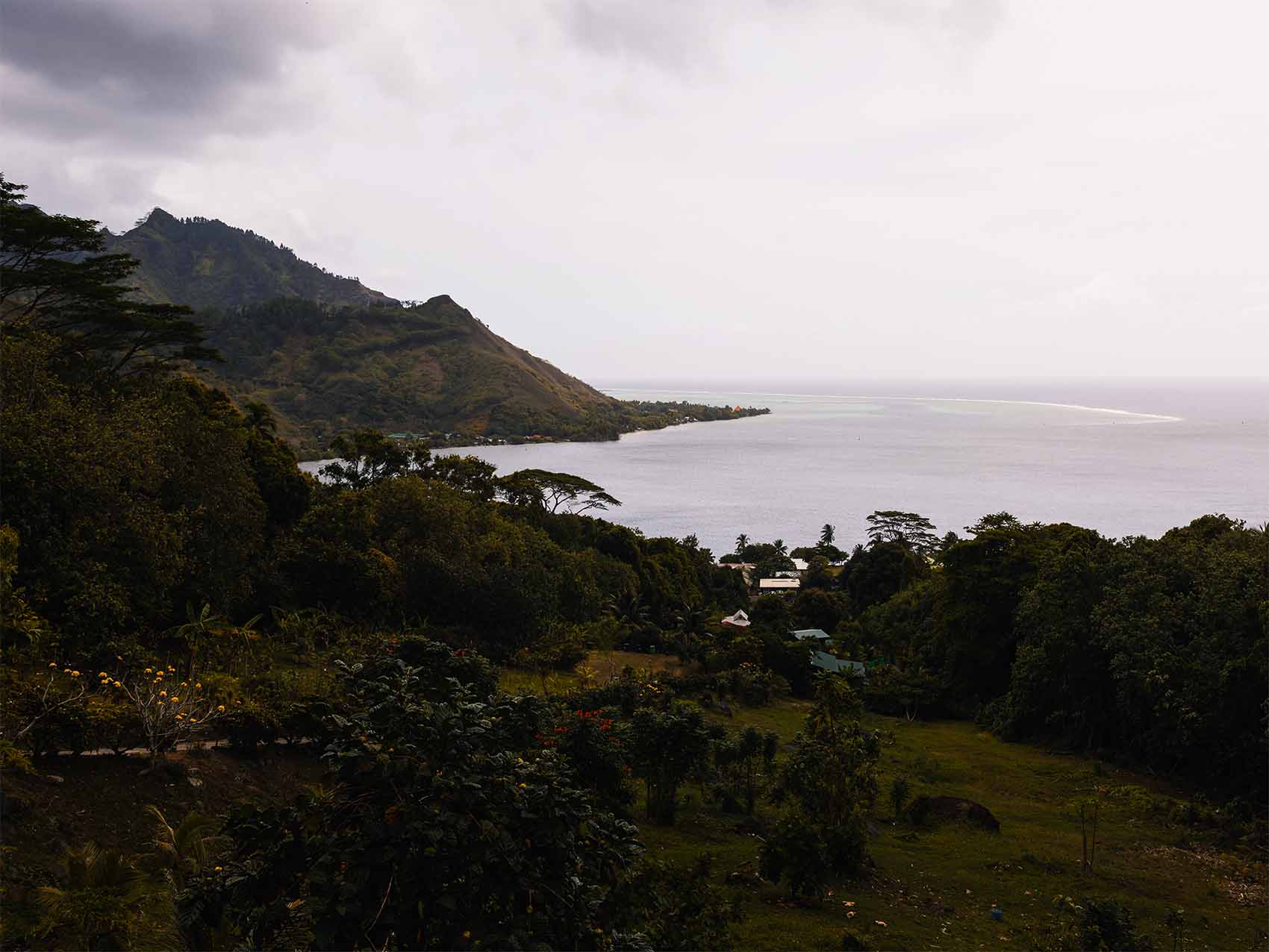 Vue depuis le Moorea Tropical Garden