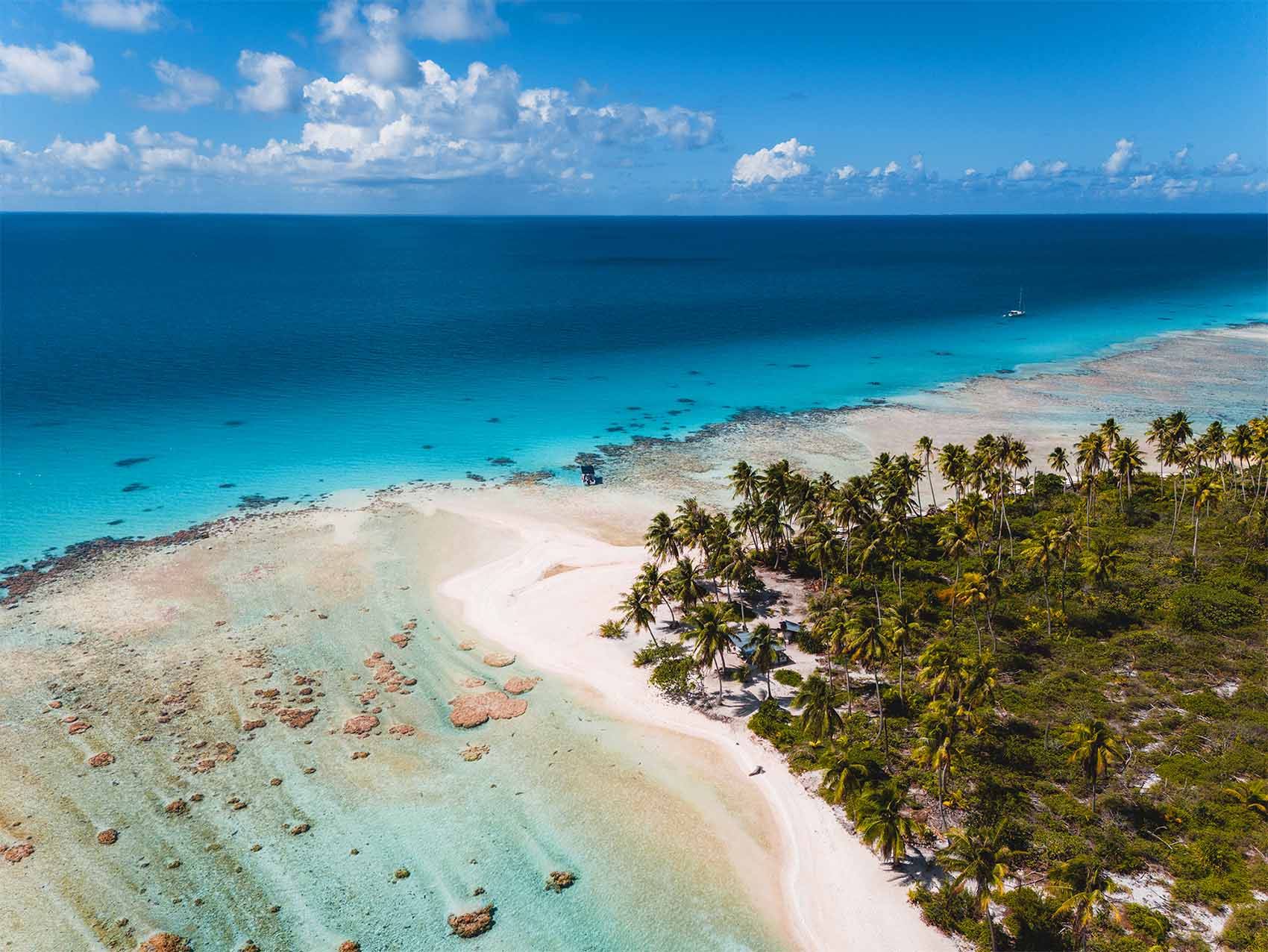 Plage sur l'île aux Récifs à Rangiroa