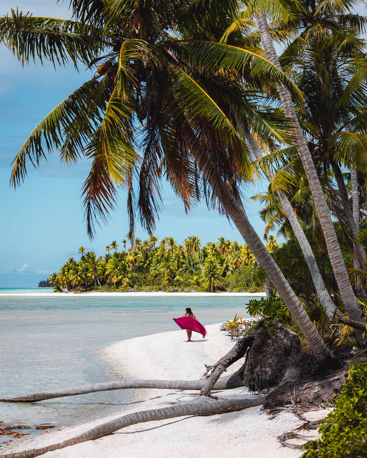 Plage paradisiaque sur l'île aux récifs