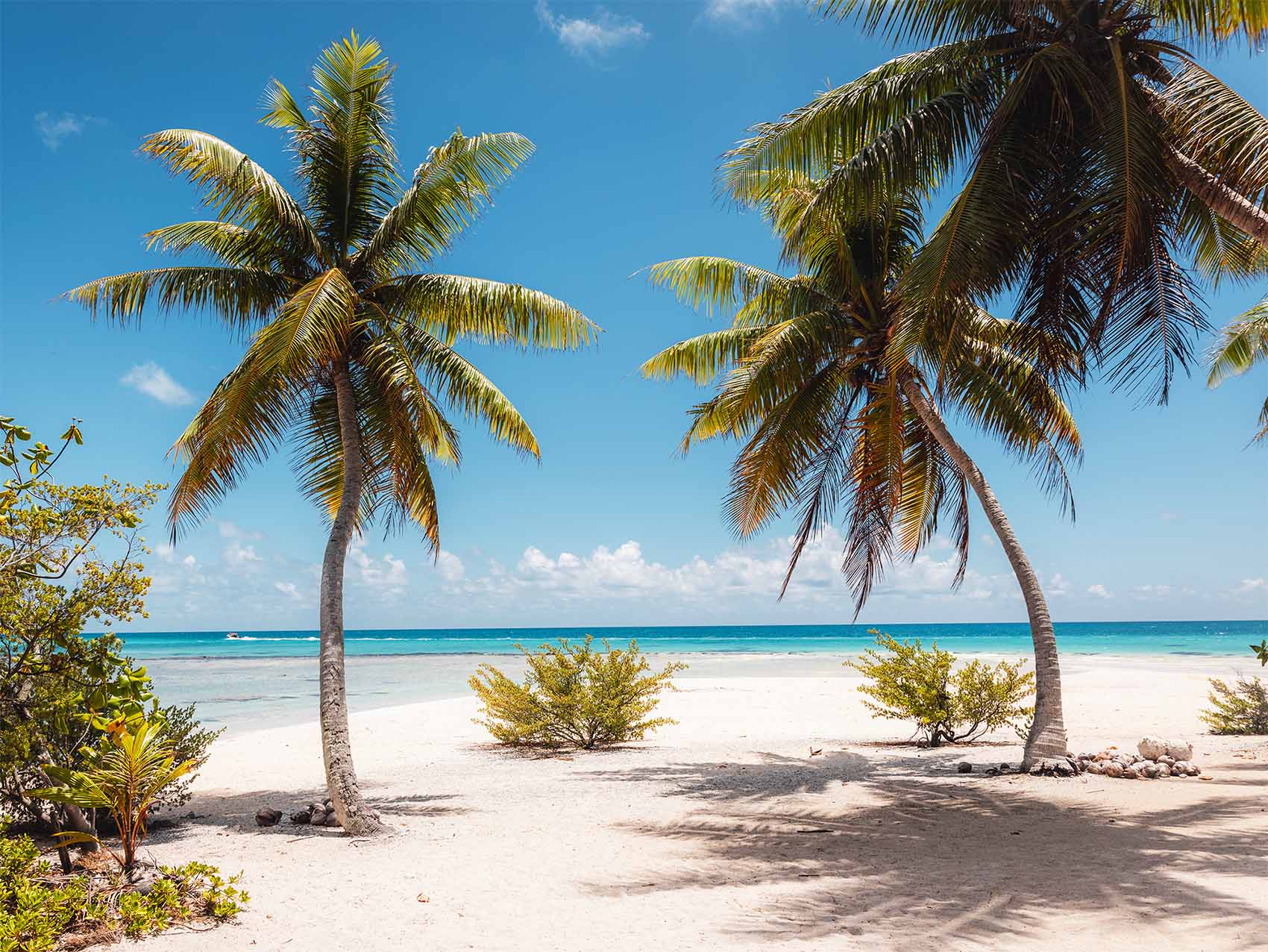 Plage sur l'île aux Récifs à Rangiroa