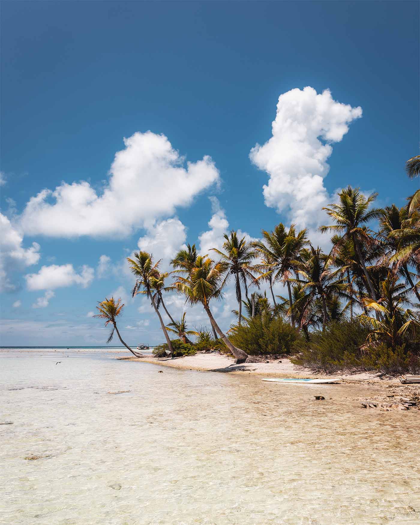 Plage à Rangiroa