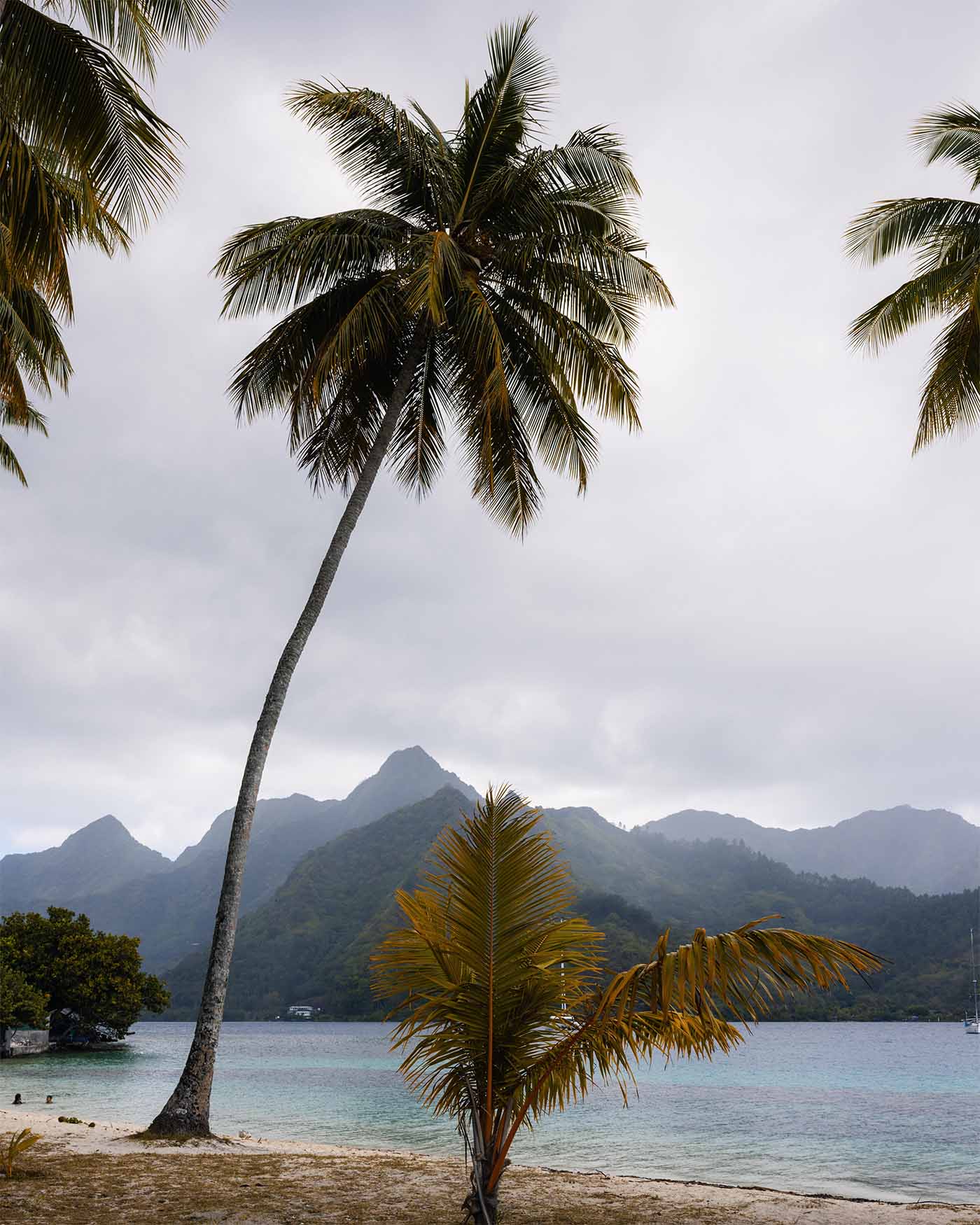 Plage de Ta’ahiamanu à Moorea