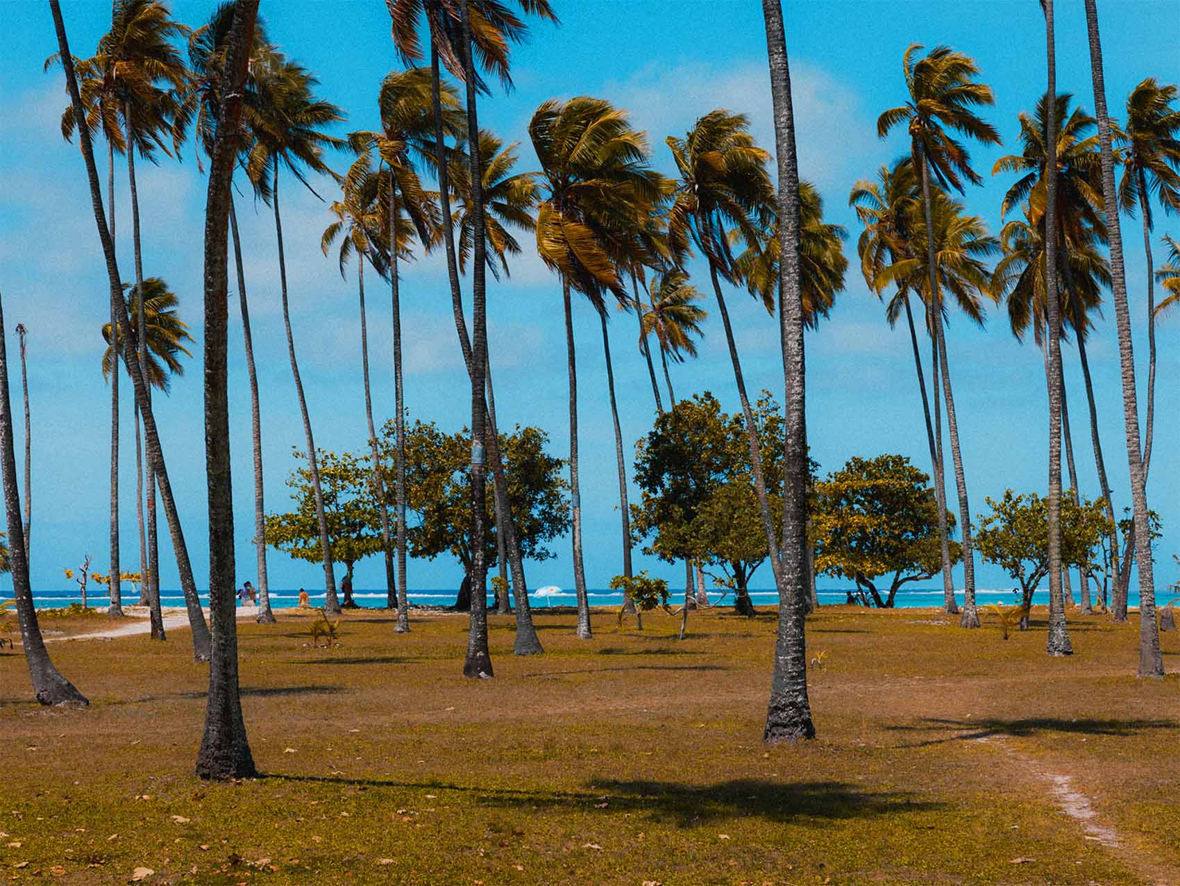 Plage de Temae à Moorea