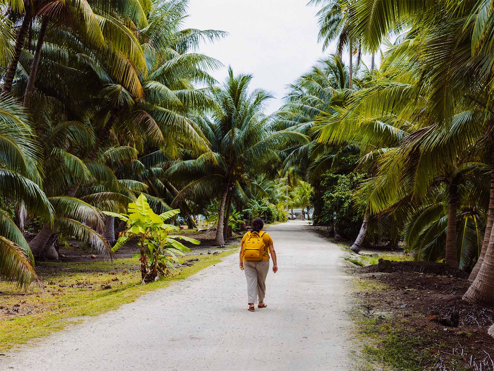 Marche vers la plage de Tereia à Maupiti