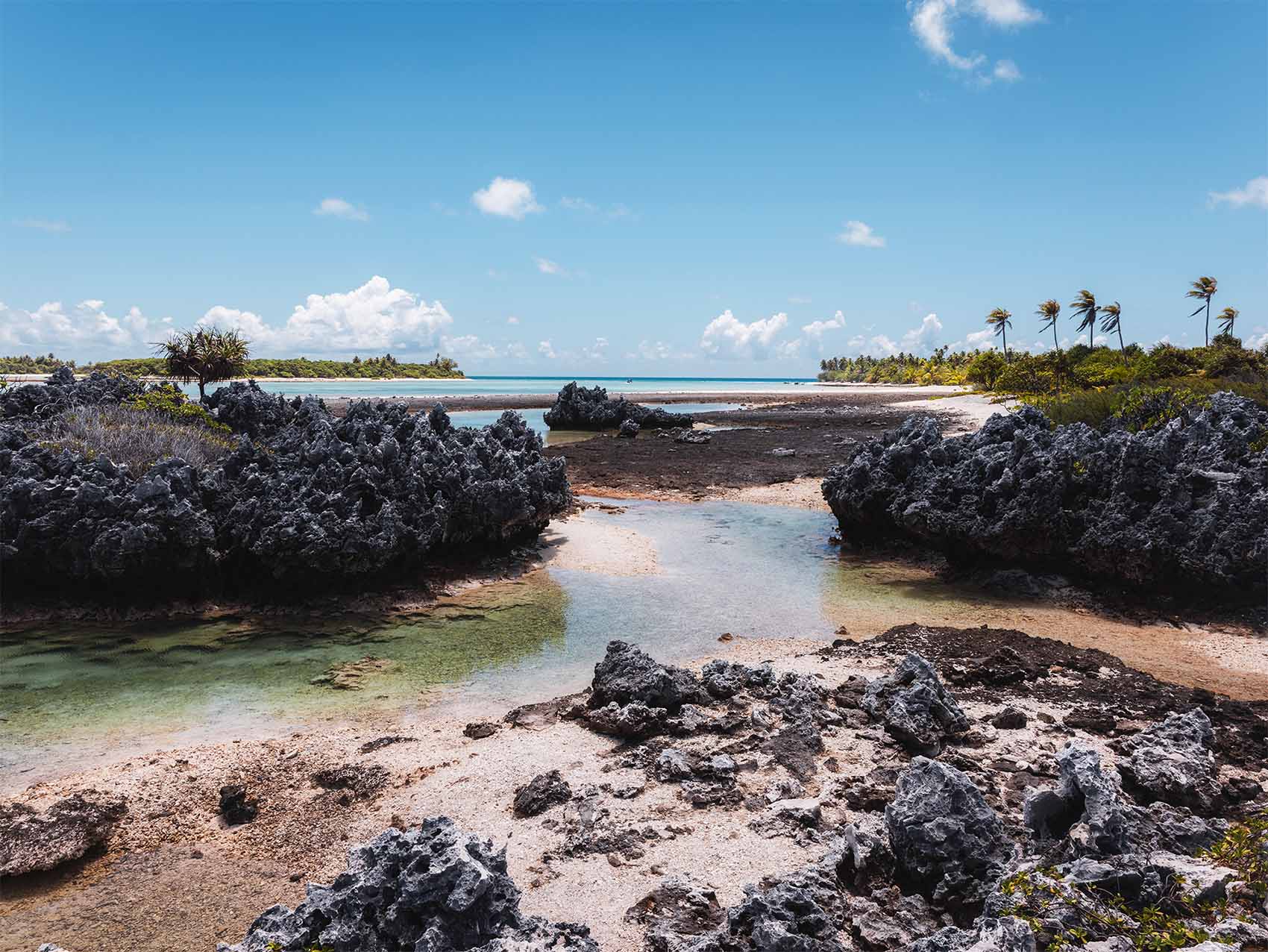 Excursion à la découverte de l'île aux récifs