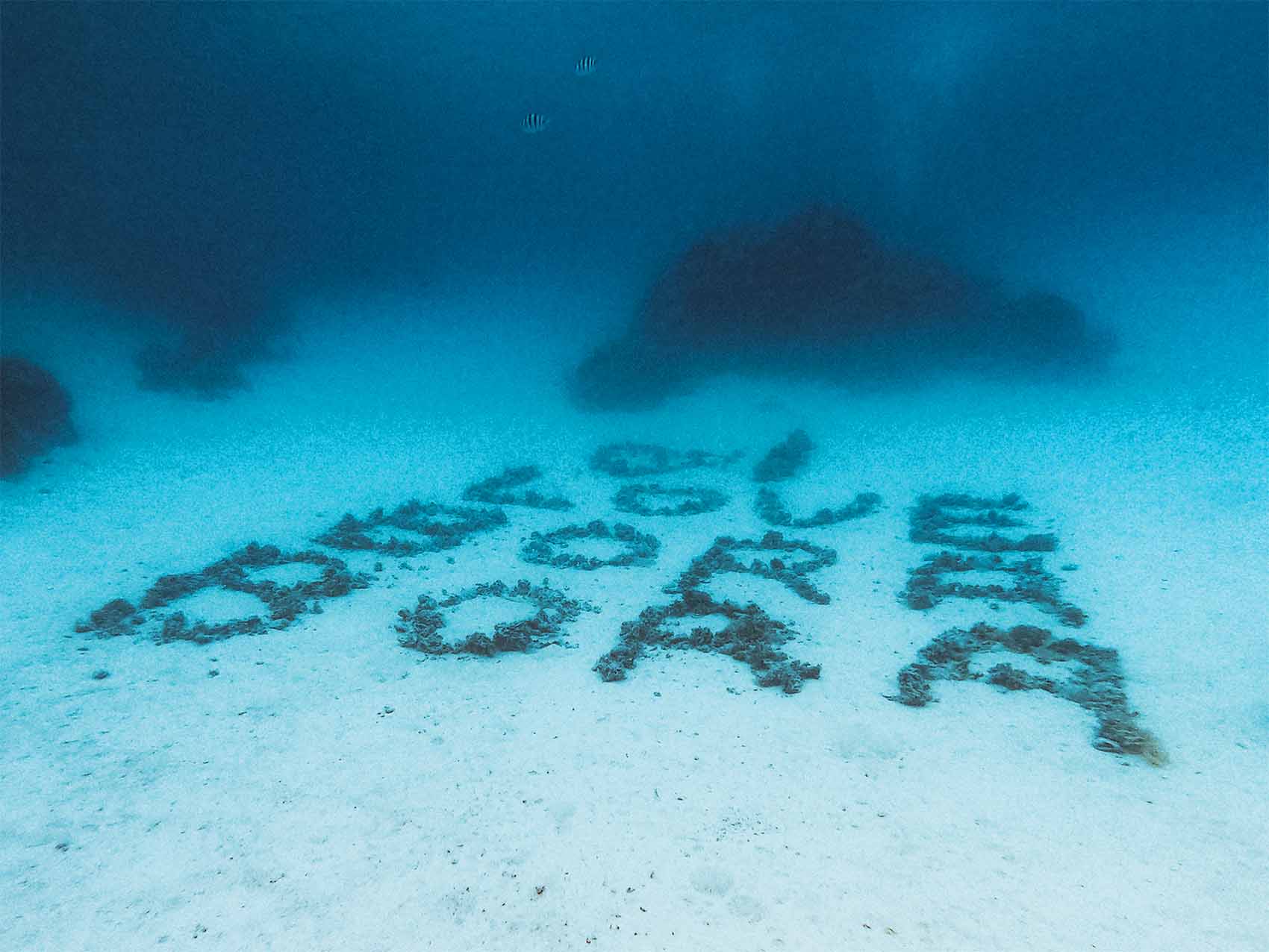 Bora Bora plongée