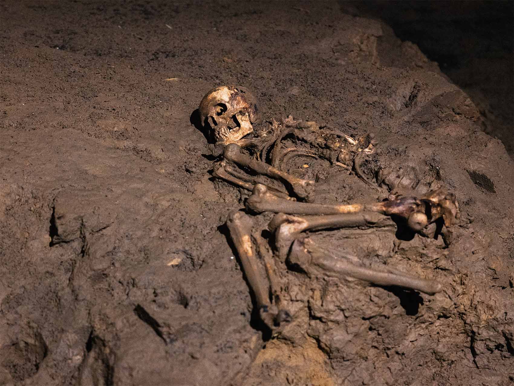 Squelette vu dans la Grotte de Foissac dans l'Aveyron
