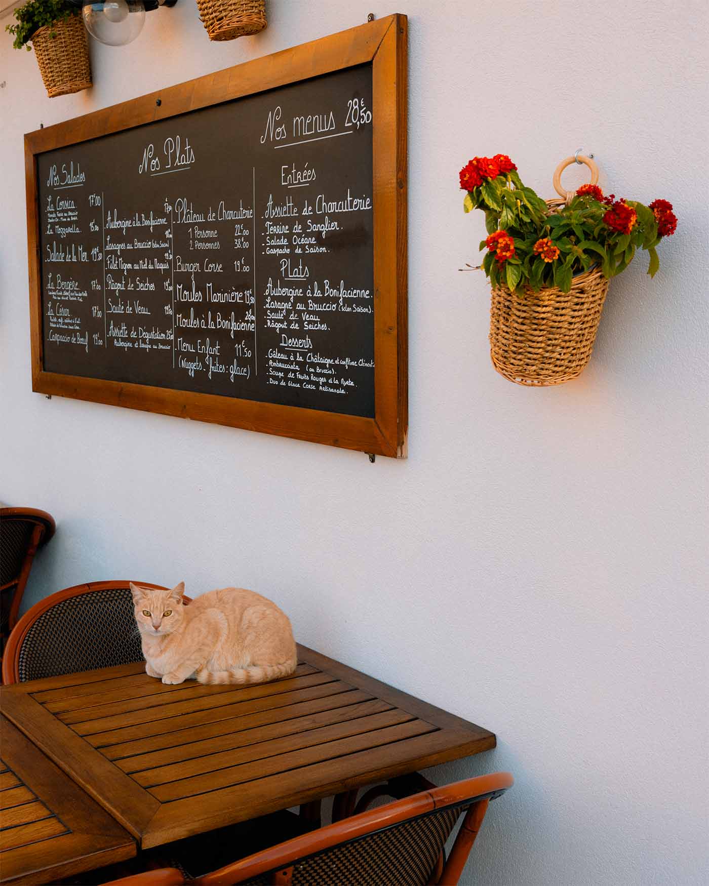 Chat couché sur une table à Bonifacio