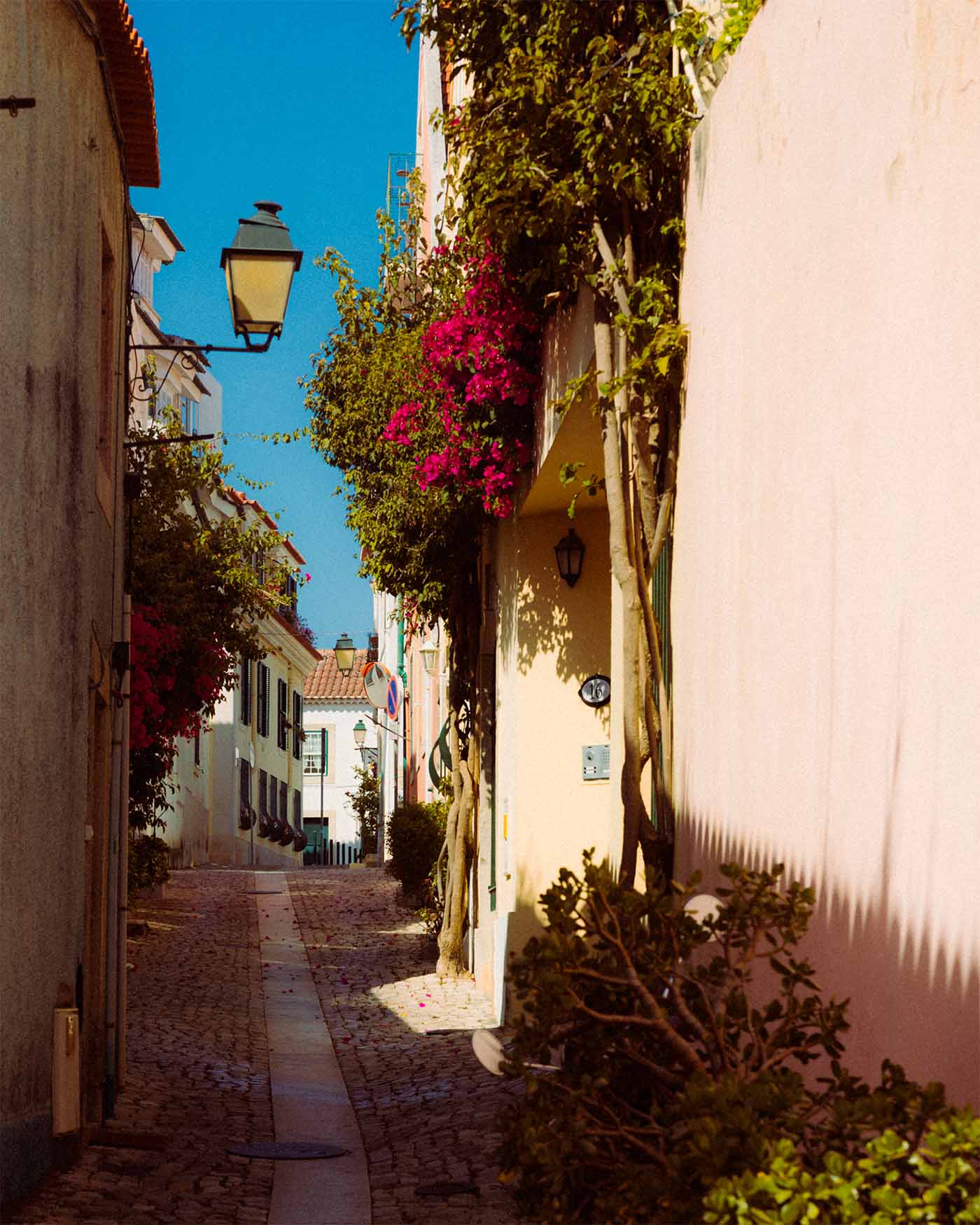 Ruelle fleurie à Cascais