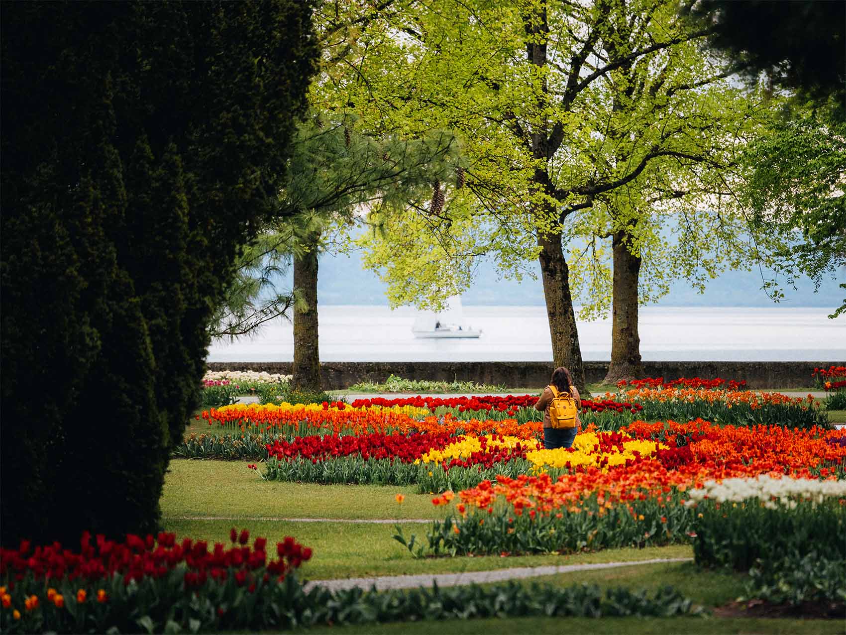 Fête de la Tulipe à Morges dans le Canton de Vaud