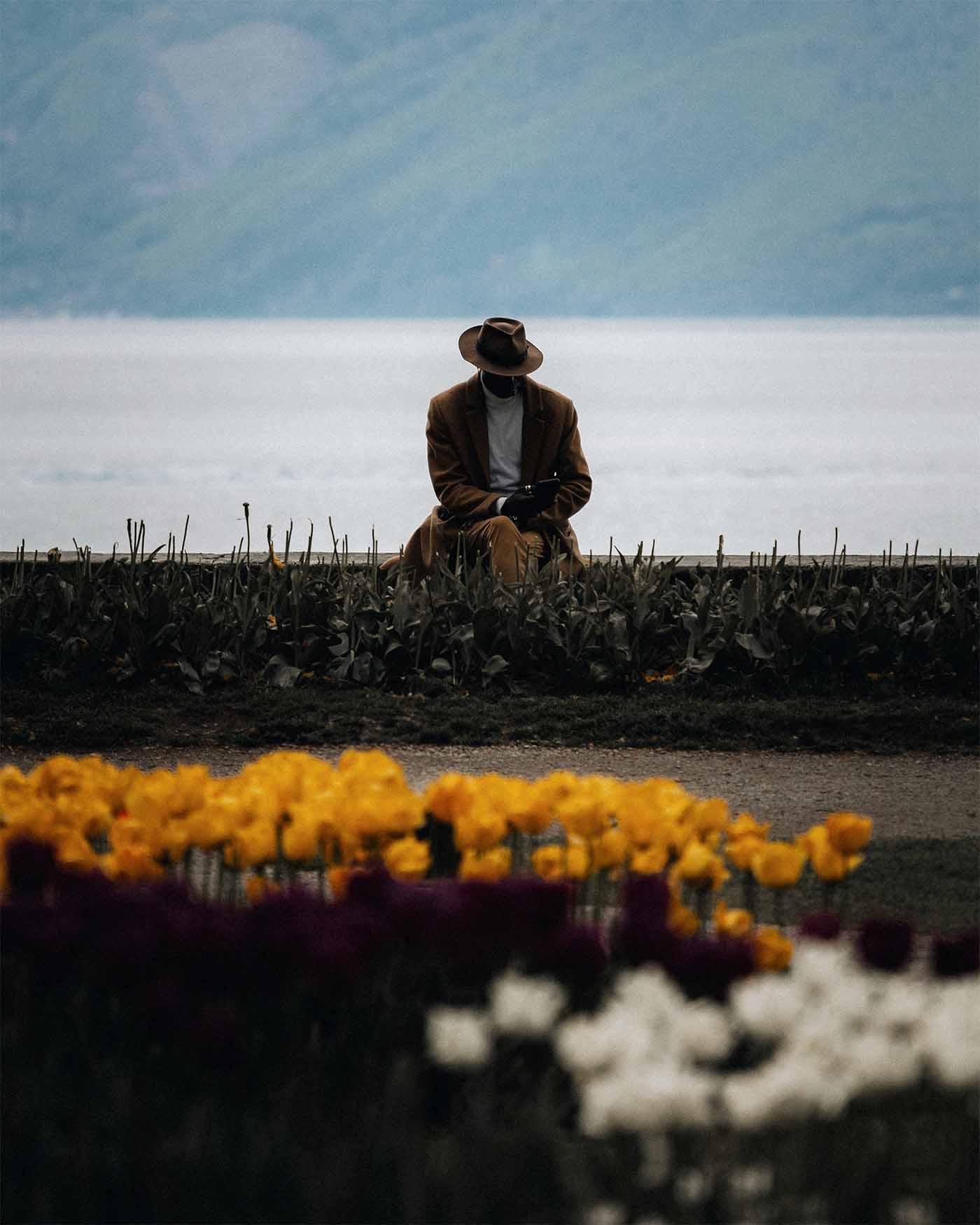 Sur les rives du lac Léman dans le Canton de Vaud