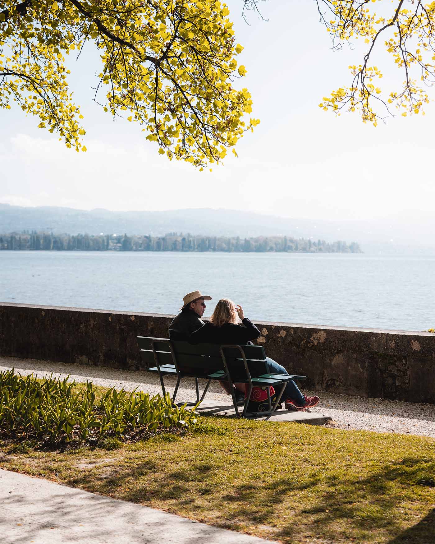 Banc près du lac Léman