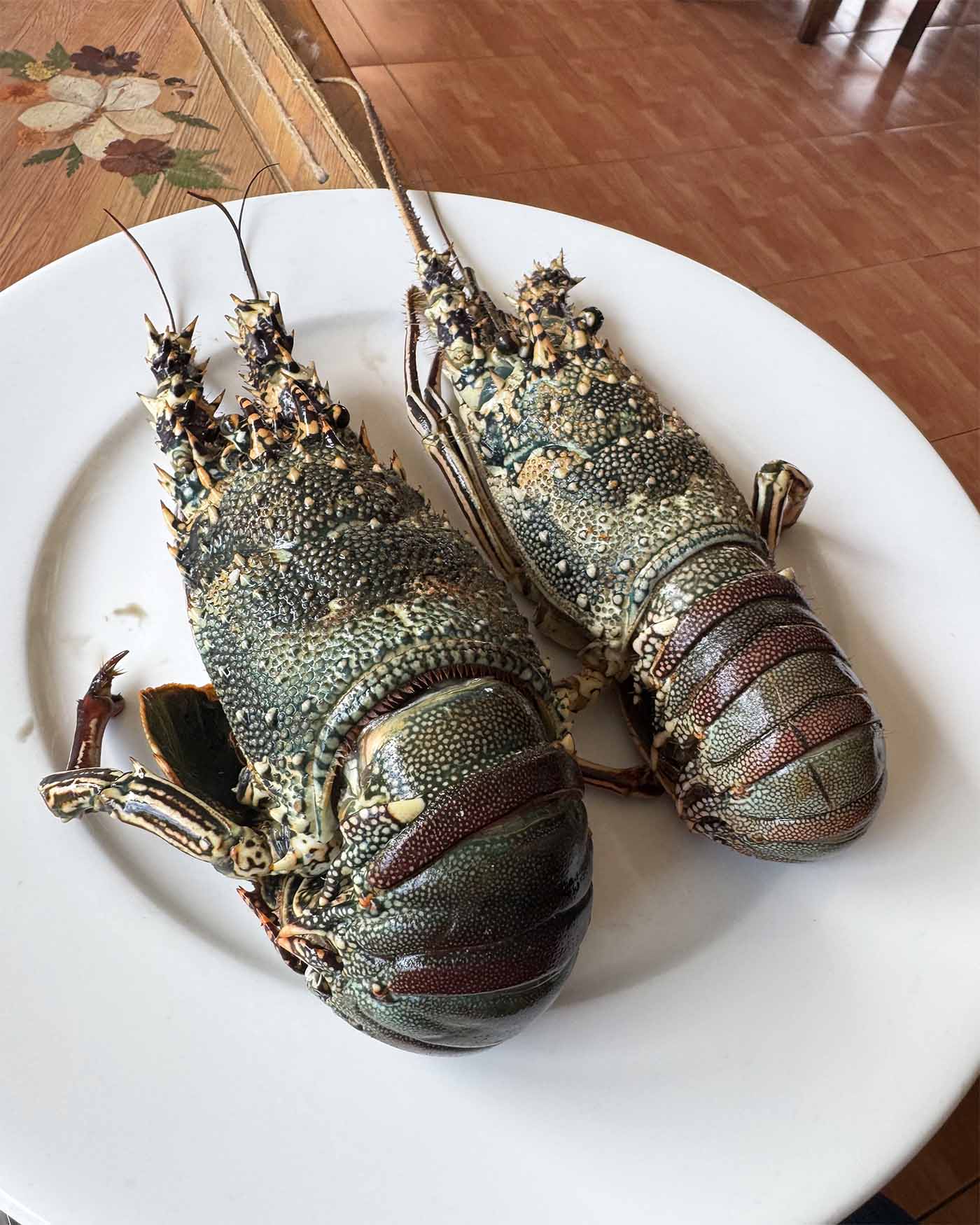 Deux langoustes sur une assiette