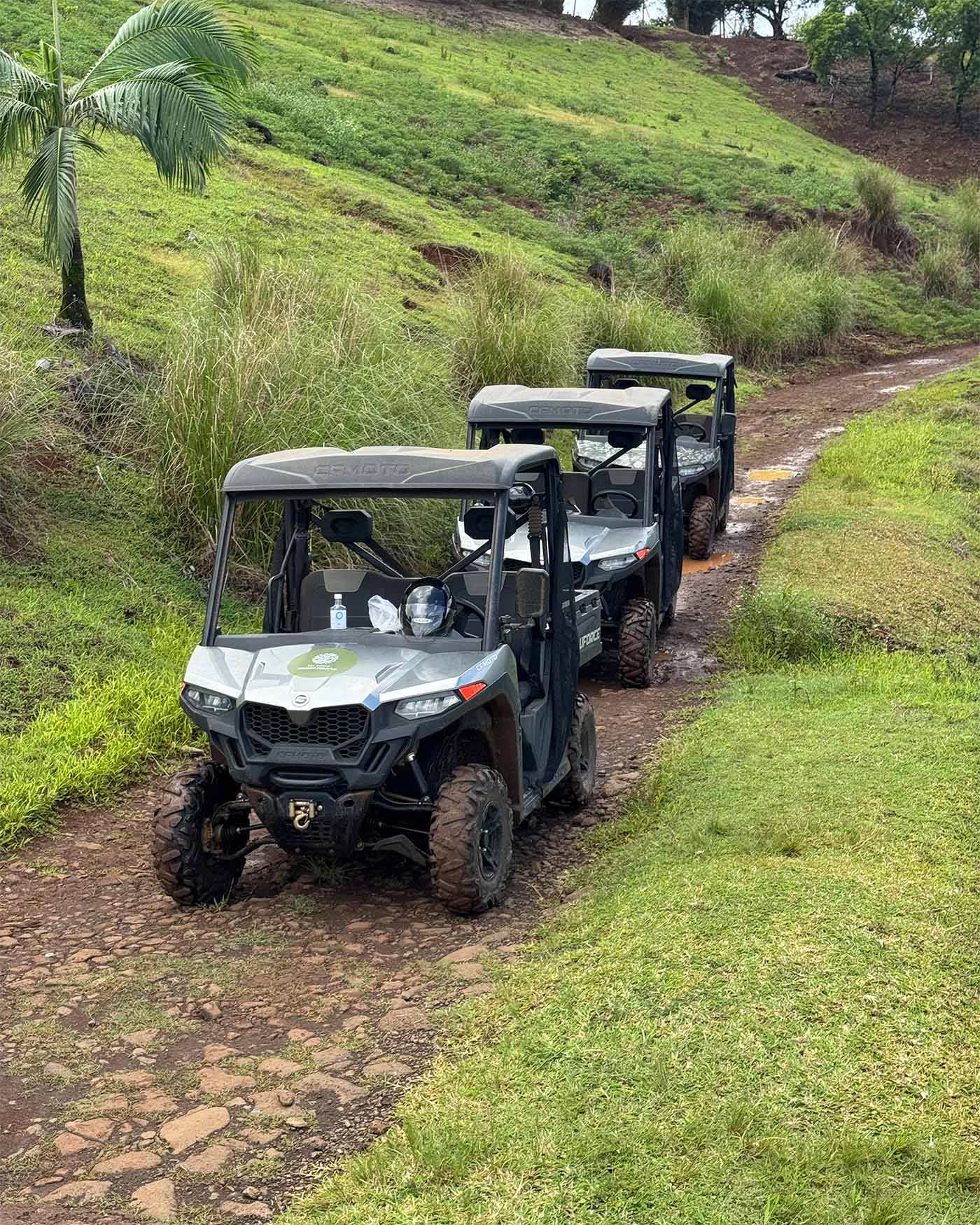 Trois buggys sur un chemin de terre
