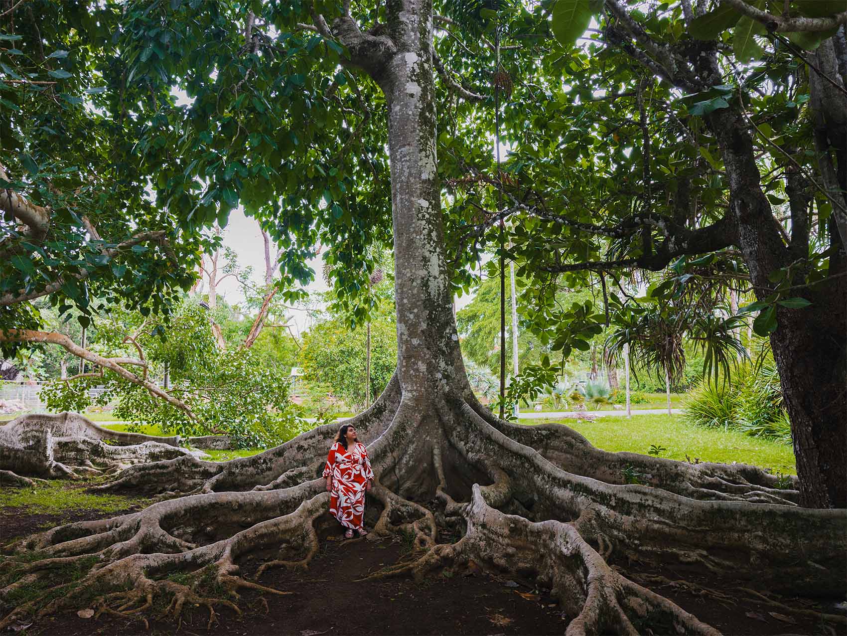 Anne-Sophie se dresse devant un grand arbre au Jardin botanique de pamplemousse