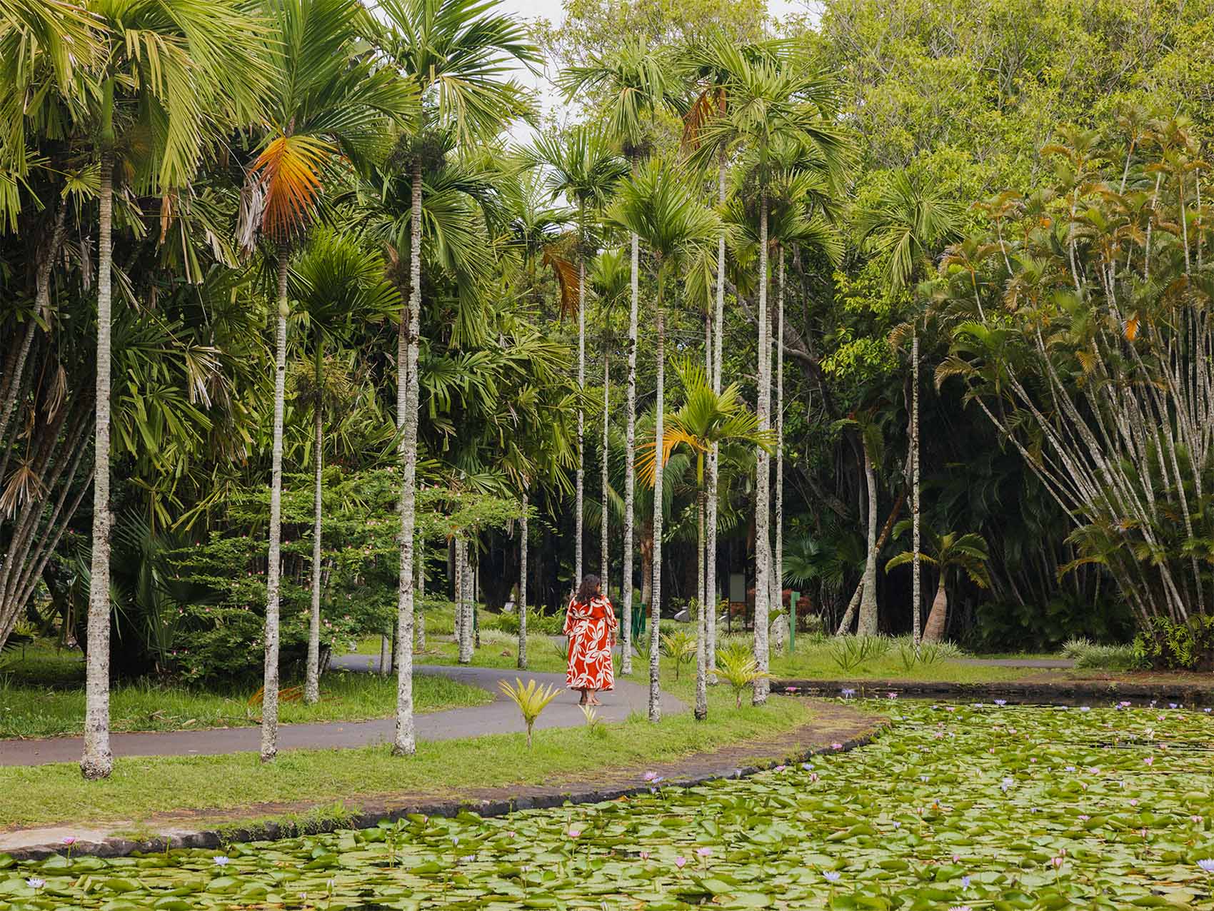Anne-Sophie marche au milieu du Jardin botanique de pamplemousse