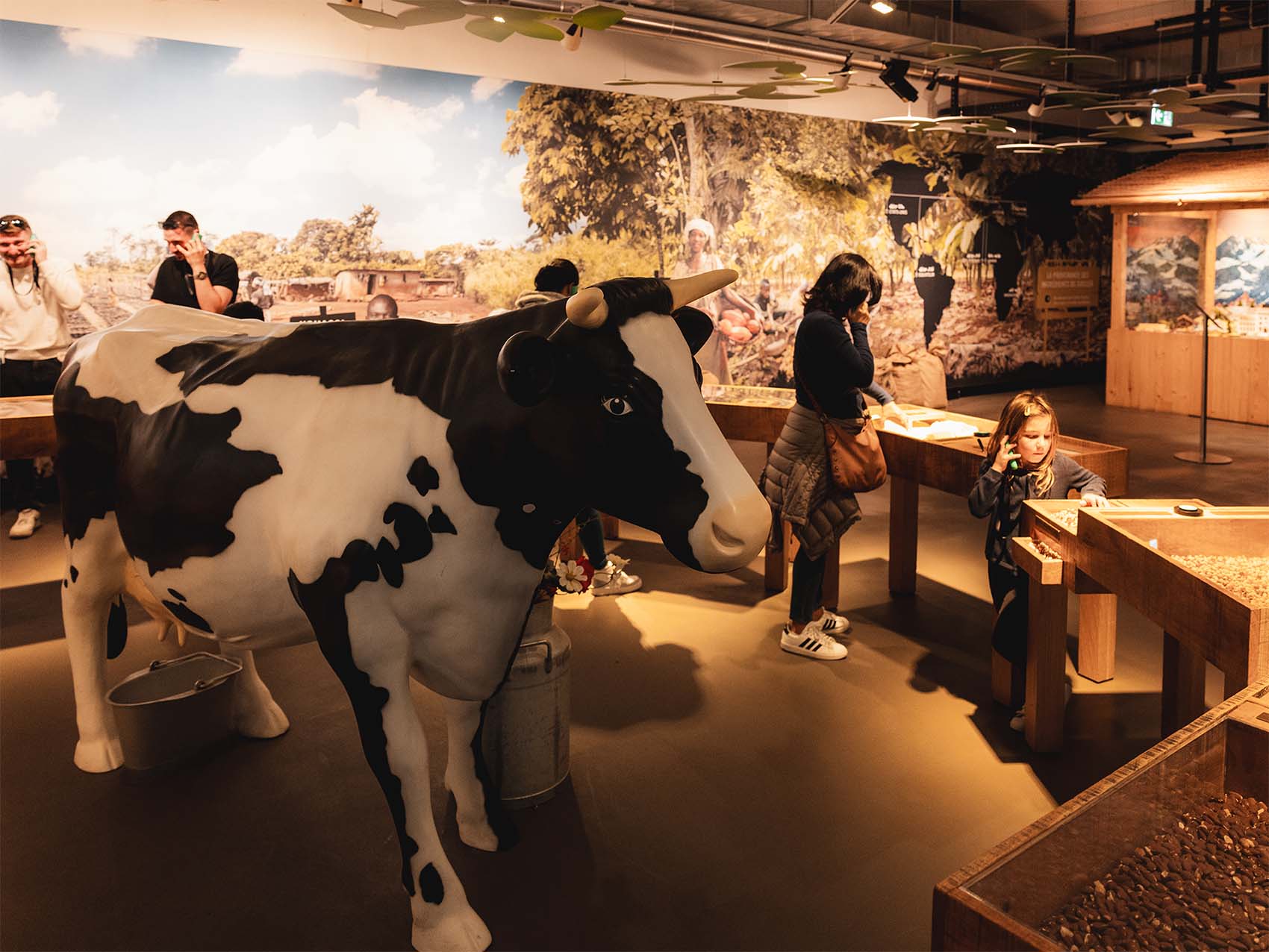 Observation des matières premières pour la fabrication du chocolat. Avec l'audioguide, on peut écouter des contenus supplémentaires